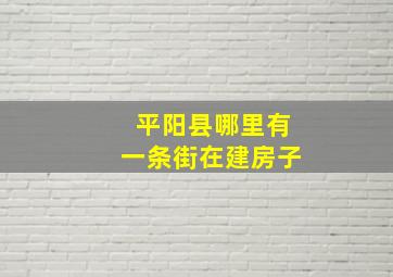 平阳县哪里有一条街在建房子