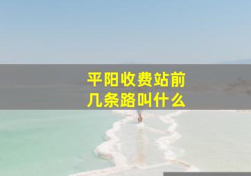 平阳收费站前几条路叫什么