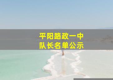 平阳路政一中队长名单公示