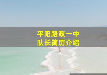 平阳路政一中队长简历介绍