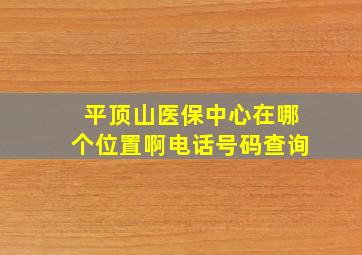 平顶山医保中心在哪个位置啊电话号码查询