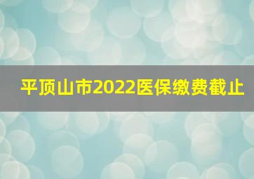 平顶山市2022医保缴费截止