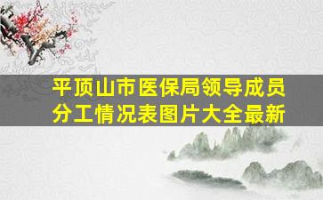 平顶山市医保局领导成员分工情况表图片大全最新