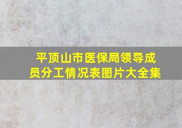 平顶山市医保局领导成员分工情况表图片大全集