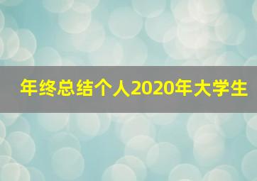 年终总结个人2020年大学生