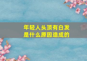 年轻人头顶有白发是什么原因造成的