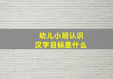 幼儿小班认识汉字目标是什么