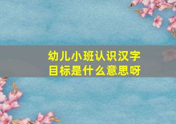 幼儿小班认识汉字目标是什么意思呀