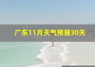 广东11月天气预报30天