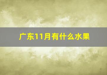 广东11月有什么水果