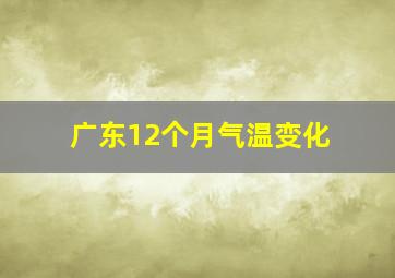 广东12个月气温变化