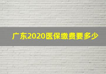 广东2020医保缴费要多少