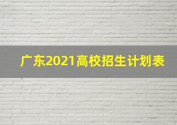 广东2021高校招生计划表