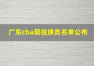 广东cba现役球员名单公布