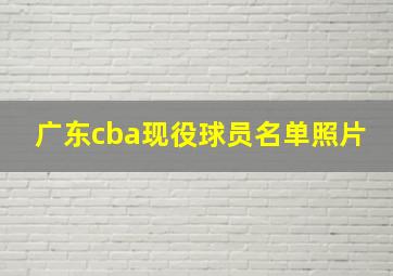 广东cba现役球员名单照片