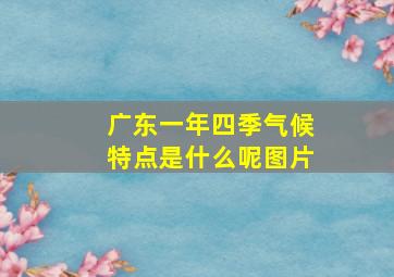 广东一年四季气候特点是什么呢图片