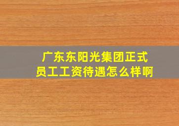 广东东阳光集团正式员工工资待遇怎么样啊