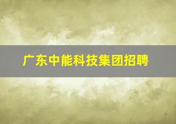 广东中能科技集团招聘