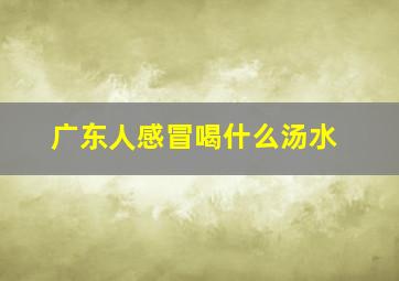 广东人感冒喝什么汤水