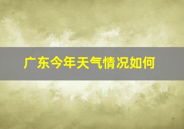 广东今年天气情况如何