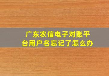 广东农信电子对账平台用户名忘记了怎么办