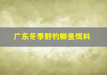 广东冬季野钓鲫鱼饵料