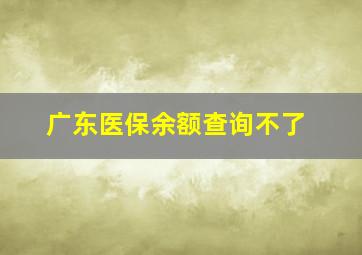 广东医保余额查询不了