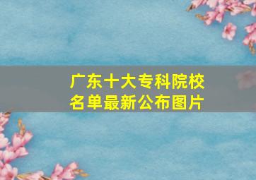 广东十大专科院校名单最新公布图片