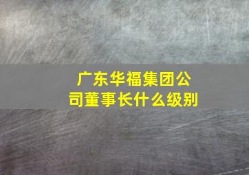 广东华福集团公司董事长什么级别