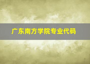 广东南方学院专业代码