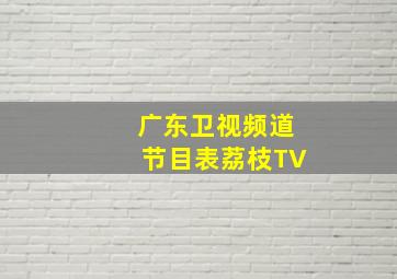 广东卫视频道节目表荔枝TV