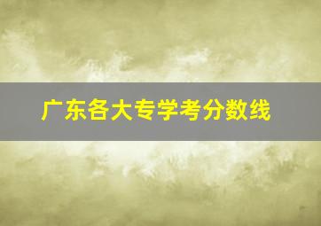 广东各大专学考分数线