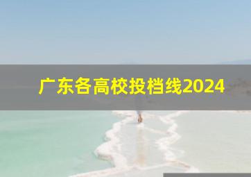 广东各高校投档线2024