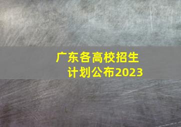 广东各高校招生计划公布2023