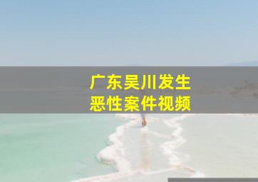 广东吴川发生恶性案件视频