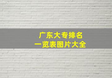 广东大专排名一览表图片大全