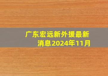 广东宏远新外援最新消息2024年11月