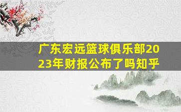 广东宏远篮球俱乐部2023年财报公布了吗知乎