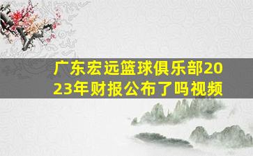 广东宏远篮球俱乐部2023年财报公布了吗视频