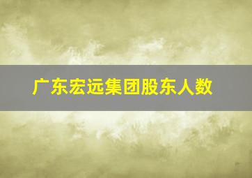 广东宏远集团股东人数