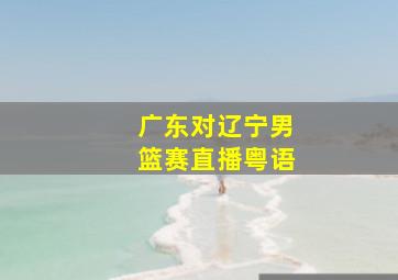 广东对辽宁男篮赛直播粤语