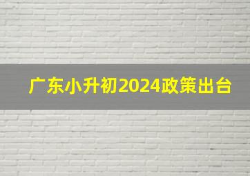 广东小升初2024政策出台