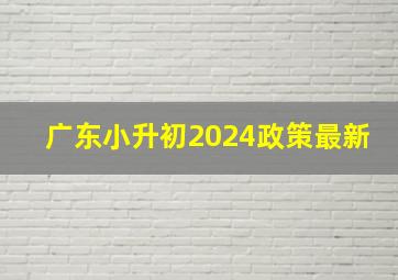 广东小升初2024政策最新