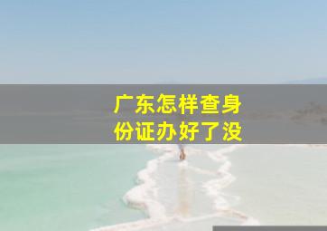 广东怎样查身份证办好了没