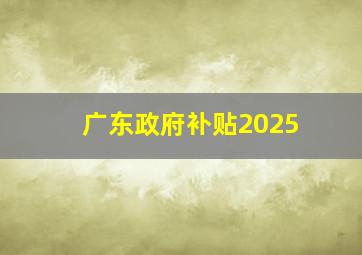 广东政府补贴2025