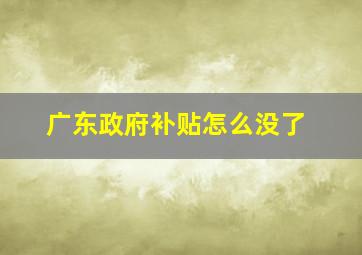 广东政府补贴怎么没了