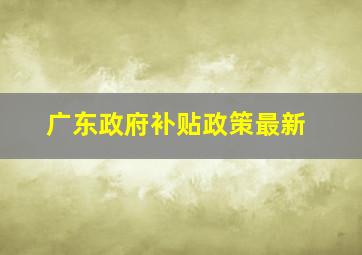 广东政府补贴政策最新