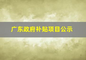 广东政府补贴项目公示