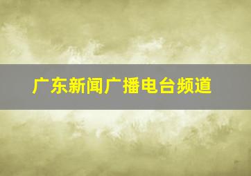 广东新闻广播电台频道