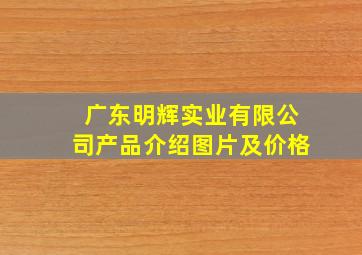 广东明辉实业有限公司产品介绍图片及价格